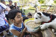 Las minigranjas son los lugares perfectos para que los niños tengan contacto directo con las crías de animales y aprendan a tratarlos con respeto y cariño.