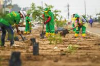 Por una Lima más verde. Vecinos de todas las edades participan en el programa de arborización "Planta un árbol, nace una vida".