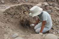 ¡Eureka! Nuevos entierros humanos fueron descubiertos en la Huaca El Rosal en el Parque de las Leyendas. 